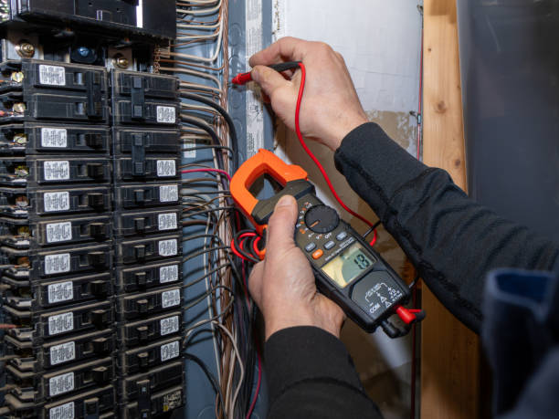 Best Electric Panel Repair  in Cutler Bay, FL